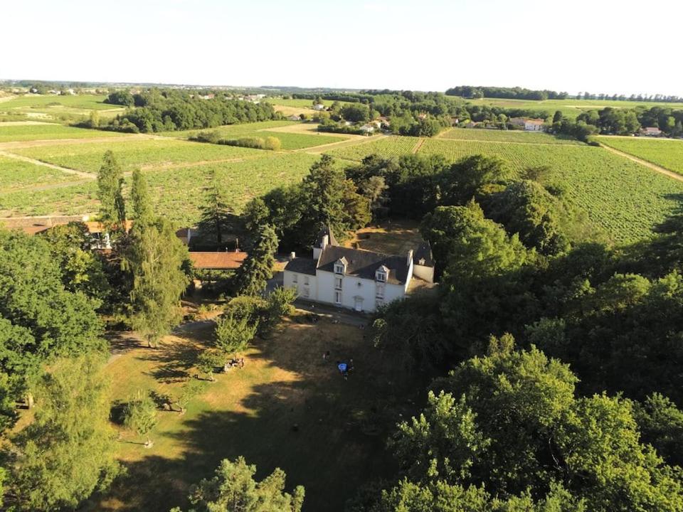 Du Vignoble à l'Atlantique - Château Cassemichère La Chapelle-Heulin Exterior foto